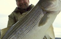 Stripers Bass 2011 1936x2592-128