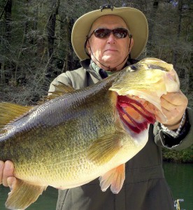 Lake Burton Largemouth