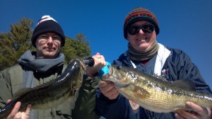 Lake Burton Spotted Bass