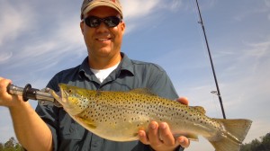 lake burton brown trout